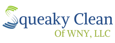 Squeaky Clean of WNY